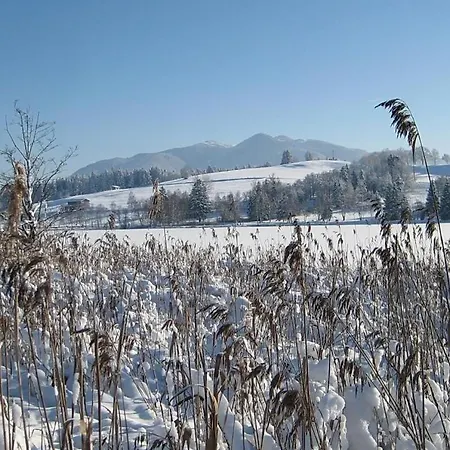 Baerli Bayersoien